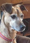Carly