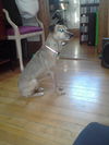Carly