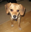 Jilly