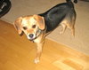 Jilly