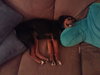 Bridgett