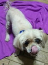 Timothy