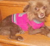 Coco