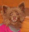 Coco