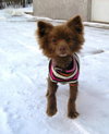 Coco