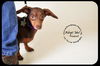 Peanut