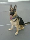 Chase