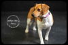 Penny