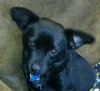 Athena