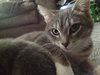 Kitty Grace