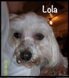 Lola