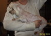 Lola