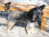 Hutch