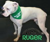 Ruger