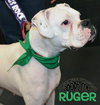 Ruger