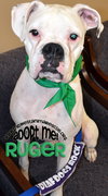 Ruger