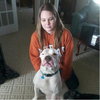 Blue- Foster Needed