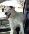 Cooper