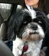 Missy-Senior