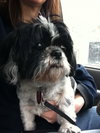 Missy-Senior