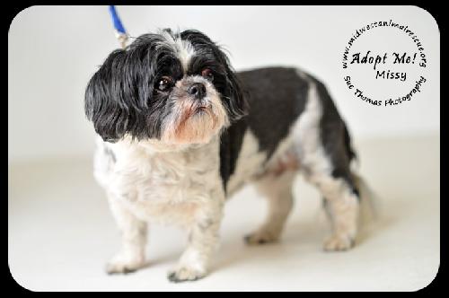Missy-Senior