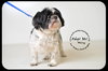 Missy-Senior