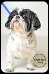 Missy-Senior