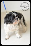 Missy-Senior