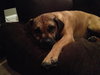 Duke