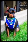 Martin-min pin