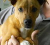 Chiquita