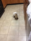 Millie