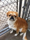 Spanky
