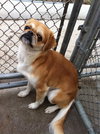 Spanky