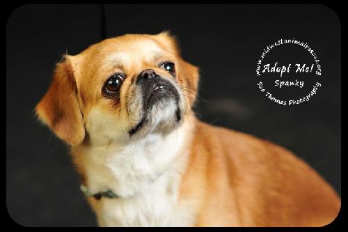 Spanky