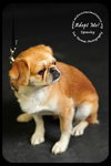 Spanky