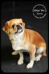Spanky