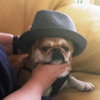 Spanky