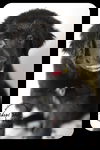 Friddy