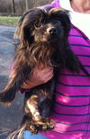 Gidget
