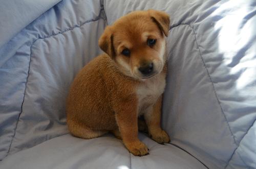 Charlie