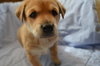 Charlie