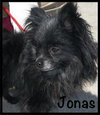Jonas
