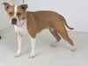 Roxy