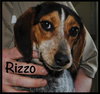 Rizzo