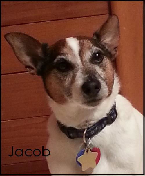 Jacob