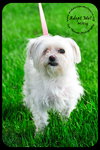 Mitsy