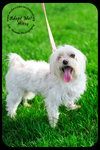Mitsy
