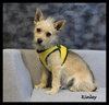 Kinley