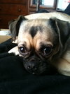 Miss Tiny